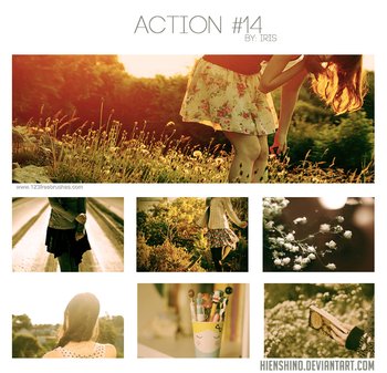 Nature Landscape Actions