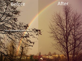 Nature Landscape Actions