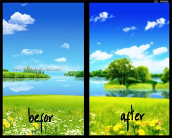 Nature Landscape Actions