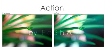 Nature Landscape Actions