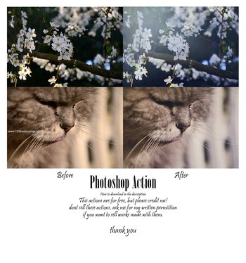 Nature Landscape Actions