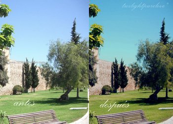 Nature Landscape Actions