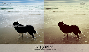 Nature Landscape Actions