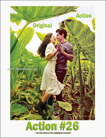 Nature Landscape Actions