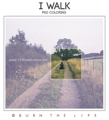 Nature Landscape Actions