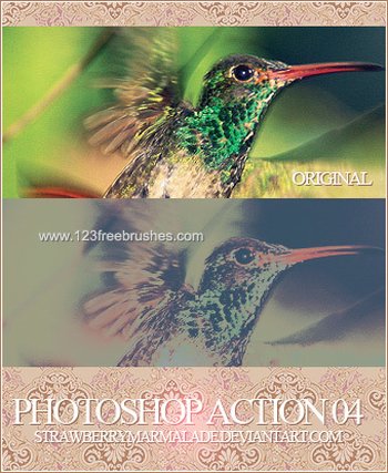 Nature Landscape Actions