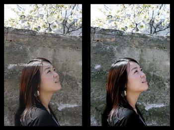 Nature Landscape Actions