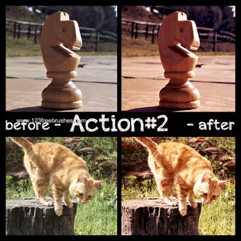 Nature Landscape Actions