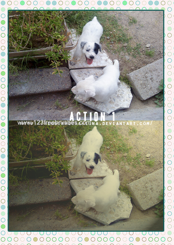 Nature Landscape Actions