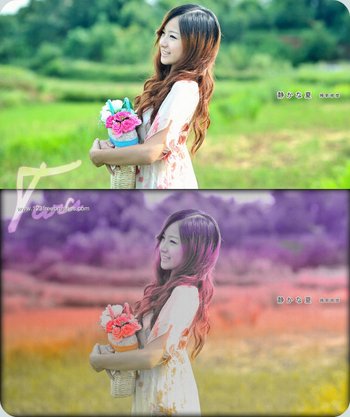 Nature Landscape Actions