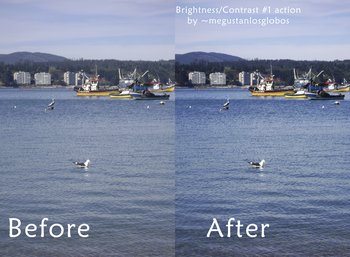 Nature Landscape Actions