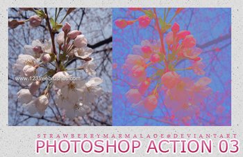Nature Landscape Actions