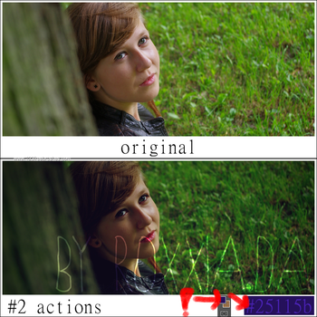 Nature Landscape Actions