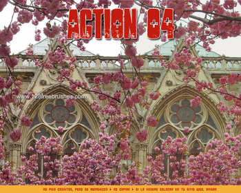 Nature Landscape Actions