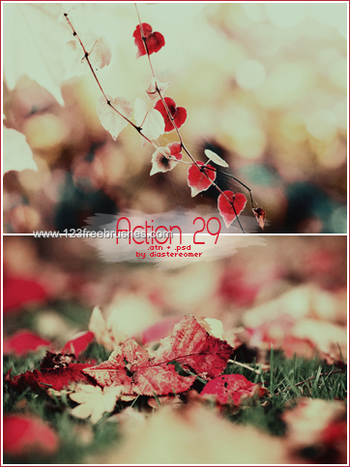 Nature Landscape Photoshop Actions