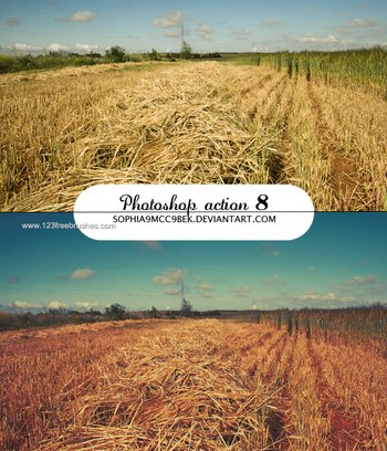 Nature Landscape Photoshop Actions