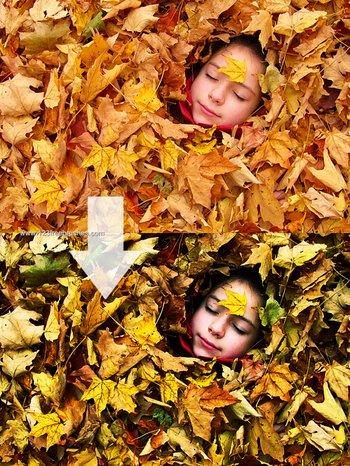 Nature Landscape Photoshop Actions