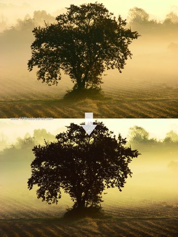 Nature Landscape Photoshop Actions