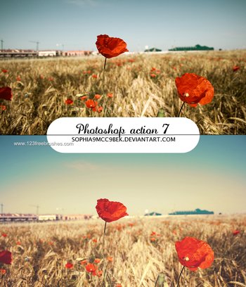 Nature Landscape Photoshop Actions