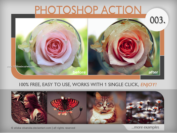 Nature Landscape Photoshop Actions