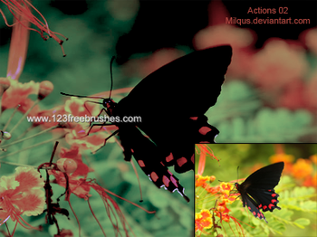 Nature Landscape Photoshop Actions