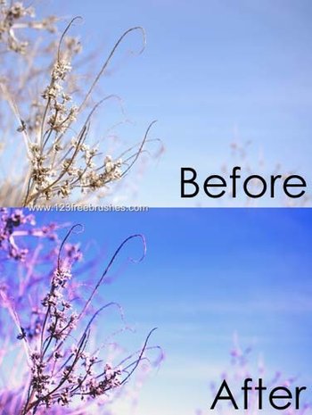 Nature Landscape Photoshop Actions