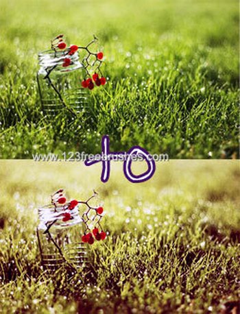 Nature Landscape Photoshop Actions