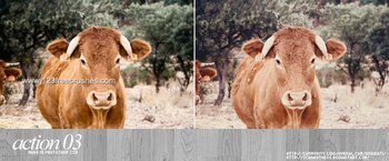 Nature Landscape Photoshop Actions