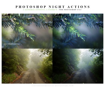 Night Effect Photoshop Action