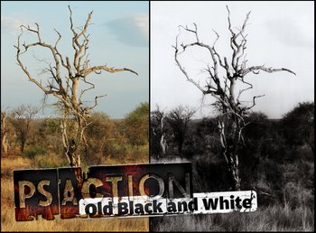 Old Black And White effect photoshop action