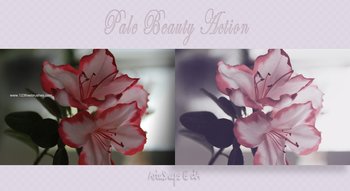 Pale Beauty Ps Effect Photoshop Action