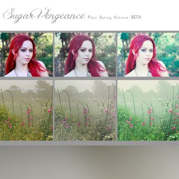 Pale Spring Effect Photoshop Action