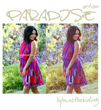 Paradise Action