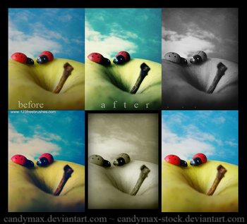 Photo Color Enhance effect photoshop action