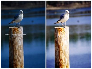 Photo Color Enhance effect photoshop action