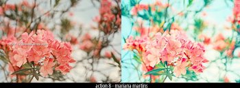 Photo Color Enhance effect photoshop action
