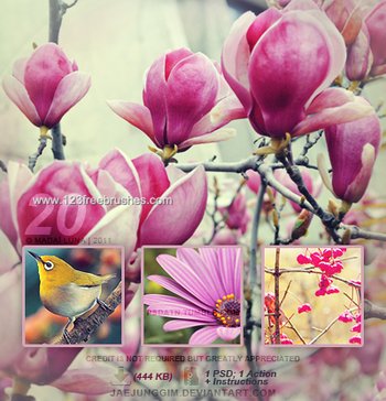 Photo Color Enhance effect photoshop action
