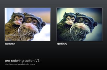 photography actions