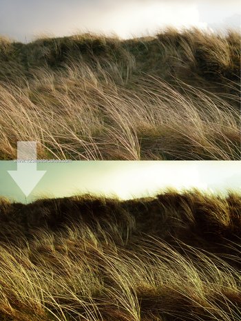 Photoshop Action