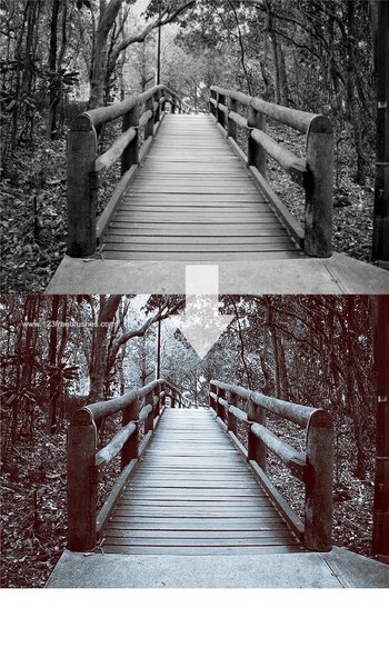 Photoshop Action