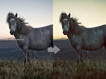 Photoshop Action