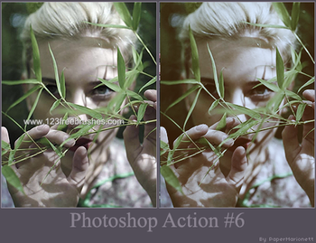 Photoshop Action