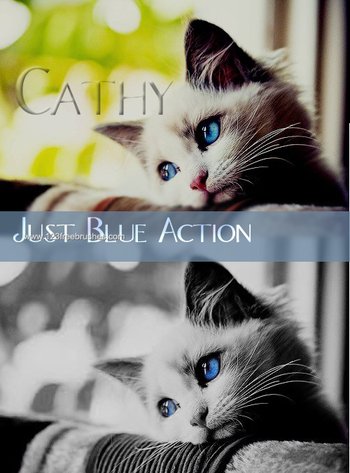 Photoshop Action Blue Color Effect