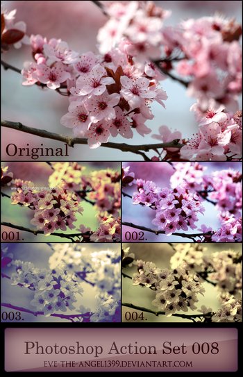Photoshop Action Set