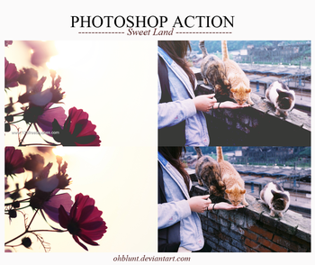 Photoshop Action Sweet Land