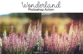 Photoshop Action Wonderland