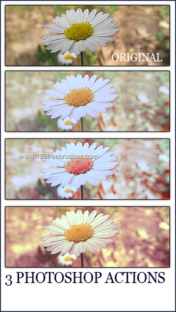 Photoshop Actions