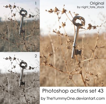 photoshop cc actions