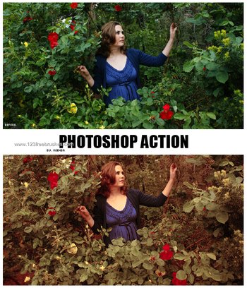 Photoshop Color Action