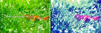 Photoshop Color Effect Actions